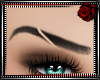 Female Eyebrows