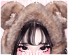 Teddy Bear Hat + Scarf