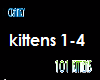 101 kittens pt1