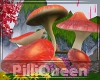 Fantasy  Mushroom