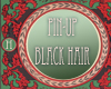 !H Pin-up Black Hair