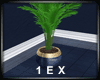 1EX MA Entrance Plant 2