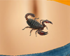 tatto - Scorpion - lM6l