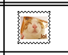 ''Lol'' kitty Stamp