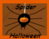 Spider animated black