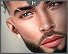Head►YZA