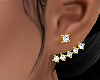 EARINGS DIAMOND