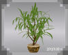 !DDB Potted Plant