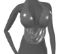 Chrome Collection Top