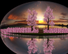 Danau  Sakura