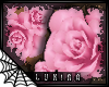 [*L] Roses | pink