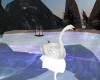 Animated Swan