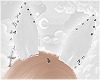 Ears Bunny White