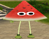 Cute WaterMelon Outfit