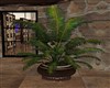 LARGE POTTED PALM #2