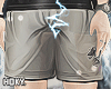 ✠ Stussy short