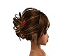 Cooper Brown UPDO