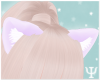 Y| Kitten Ears Purple