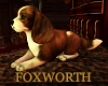 Foxworth Spaniel