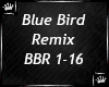 |TUNE| Blue Bird BBR1-16