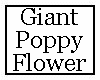 Giant Poppy Flower