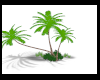 G.P palm Tree