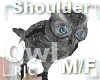 R|C Owl Gray M/F