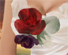 3 rose chiffon corsage
