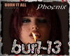 [Mix]        Burn It All