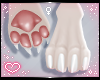 ˏˋ✧ Furry Paws