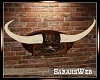 Longhorn Steer Horns