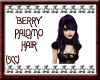 {SCC}Berry Palomo Hair