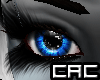[C.A.C] Ritualistic Eyes