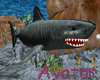 Shark Avatar Reboot