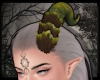 +Ancient Horn- forest v1