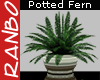 *R* Fern Potted Plant R
