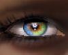 ARC*Asteri real eyes