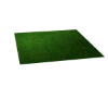 grass