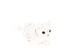KITTEN