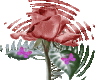 rose sticker