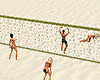 Amore Beach Volleyball