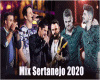 mix sertanejo 2020