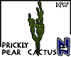 N}nw Prickly Pear_03