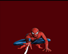CAMISA HOMEM ARANHA