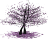 S_Purple tree