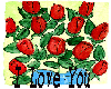 Roses: Gift of Love