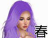 505 Purple 長髮