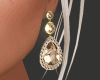 sw Gold Drop Earrings