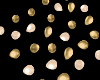 Gold & Cream Balloons