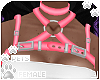 [Pets] Harness | punch